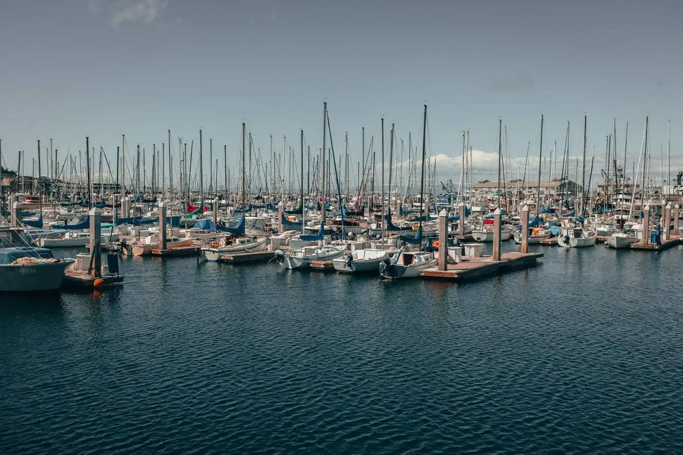 Marina com veleiros atracados