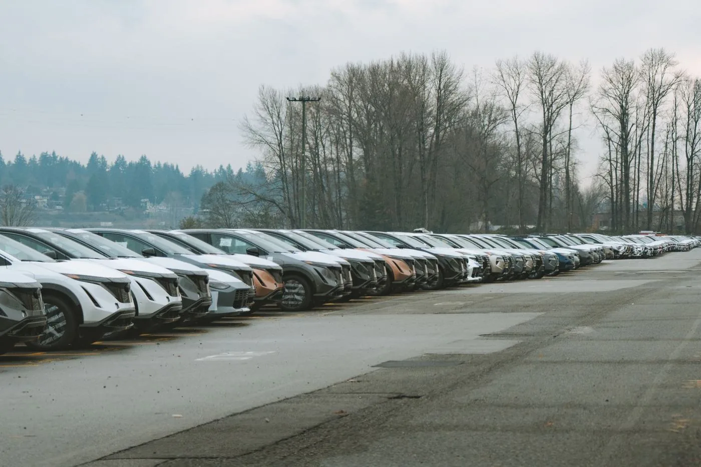 Fila de carros zero no pátio, vistos ao nível do chão