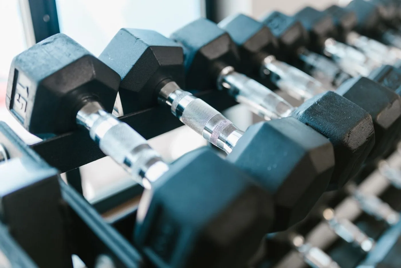 Halteres alinhados no suporte da academia
